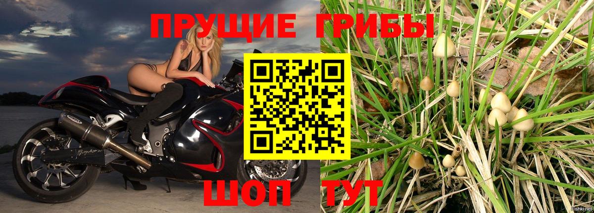 Галлюциногенные грибы Psilocybine cubensis Белово
