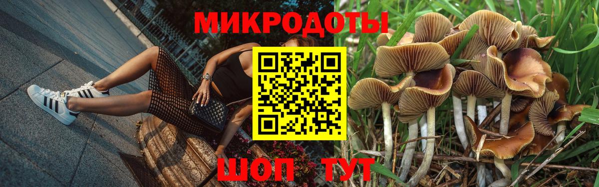 Галлюциногенные грибы Magic Shrooms  Вход с VPN  закладка  Белово 
